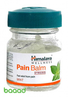 Pain Balm 10 gm